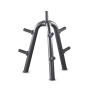 Стойка для дисков спортивных блинов Technogym DISK RACK A0000231