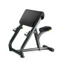 Профессиональная Скамья Скотта Technogym SCOTT BENCH PA06