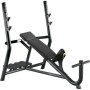 Профессиональная Скамья для Жима от Груди под Углом Technogym Inclined Bench PA01