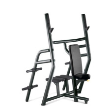 Профессиональная Скамья для Жима от Плеча Technogym VERTICAL BENCH PA02