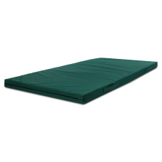 Мат спортивный складной в чехле из тентовой ткани размер 2x1м x 8см UR Zelart C-3543 (тентовая ткань, поролон, цвета в ассортименте)