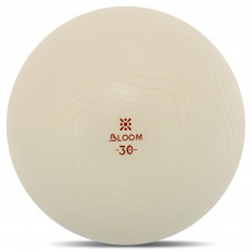 М'яч для пілатесу та йоги BLOOM MINI PILATES BALLl LB7001-30 30см білий