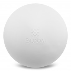 Мяч для пилатеса и йоги BLOOM PREMIUM PILATES BALL LB7003-20 (PVC, d-20см, насос, цвета в ассортименте)