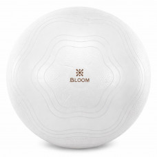 Фітбол м'яч для фітнесу сатин BLOOM LB7051-65 ø65см кольори в асортименті