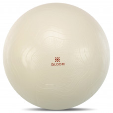 Фитбол мяч для фитнеса сатин ø75см BLOOM LB7051-75 Anti-Burst (PVC, цвета в ассортименте, ABS технология)