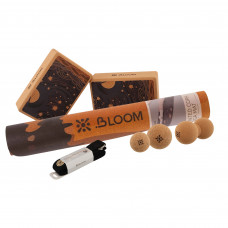 Набір для йоги 4в1 килимок, ремінь для йоги, 2 блоки для йоги, 3 м'ячики масажних для МФР BLOOM LB7109