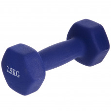 Гантель для фитнеса неопреновая 1штука SP-Planeta TA-0001-2_5 (1x2,5кг) (цена за 1шт, цвета в ассортименте)