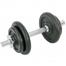 Гантель разборная стальная окрашенная 1штука Record TA-7227-10 (1x10кг) (гриф l-35см, d-25мм, стальные блины 2x(1,5+2,5кг))