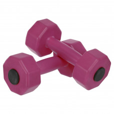 Гантелі для фітнесу пластикові Champion TA-9820-2 2шт 2кг кольори в асортименті