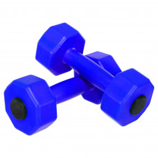 Гантелі для фітнесу пластикові Champion TA-9820-2 2шт 2кг кольори в асортименті