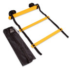 Координационная лестница