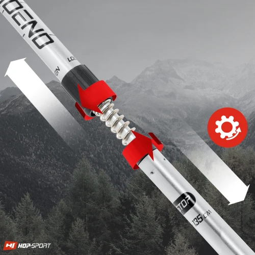 Наличие системы Antishock