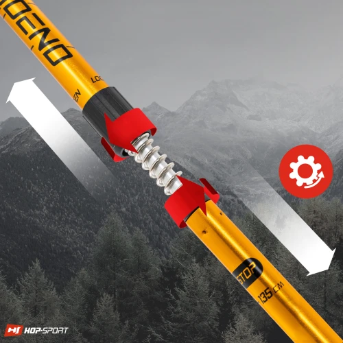 Наличие системы Antishock