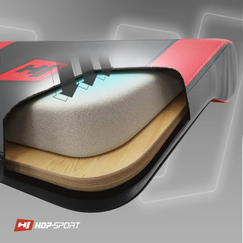 Поперечний переріз спинки